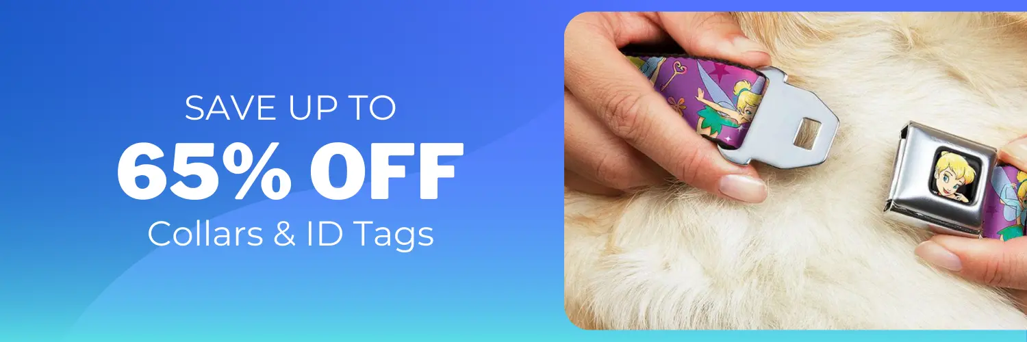Save up to 65% Off Collars & ID Tags